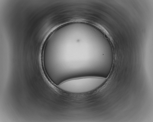 X0000116420947200912081157