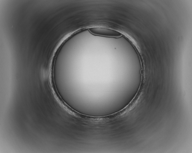 X0000116420949200912081157