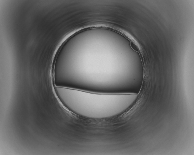 X0000116420951200912081157