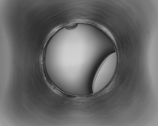 X0000116420954200912081157