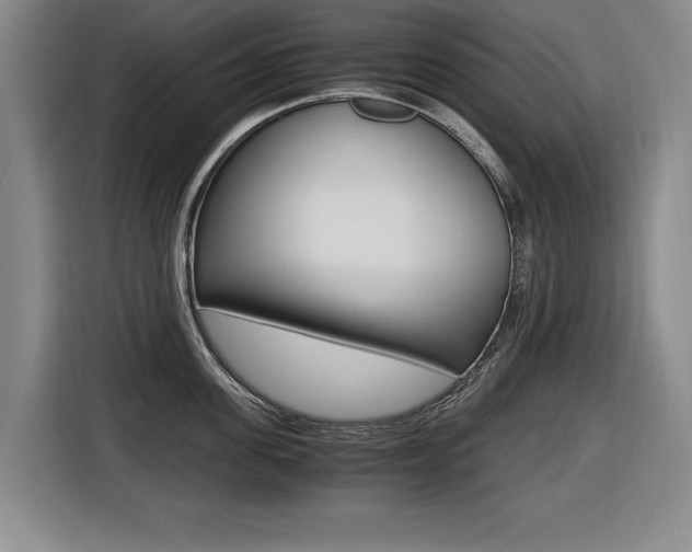 X0000116420955200912081157