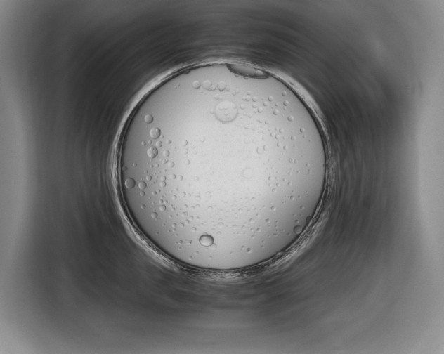 X0000116420957200912081157