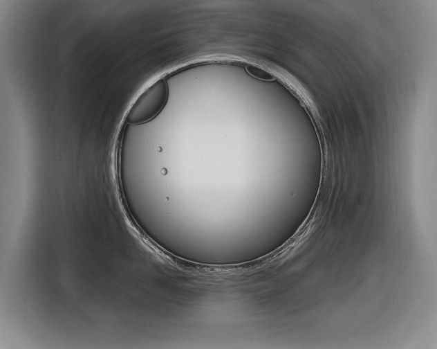 X0000116420958200912081157