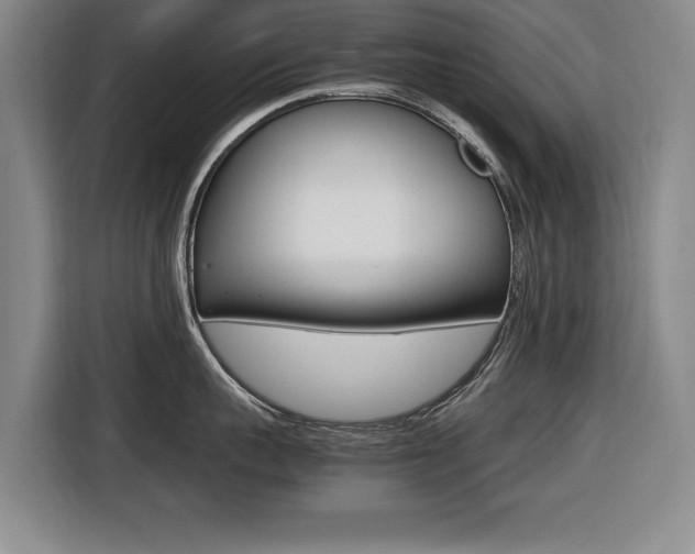 X0000116420959200912081157