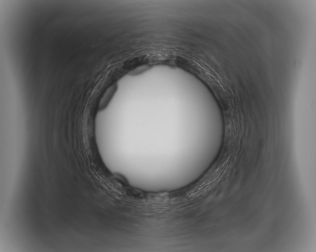 X0000116420961200912081156
