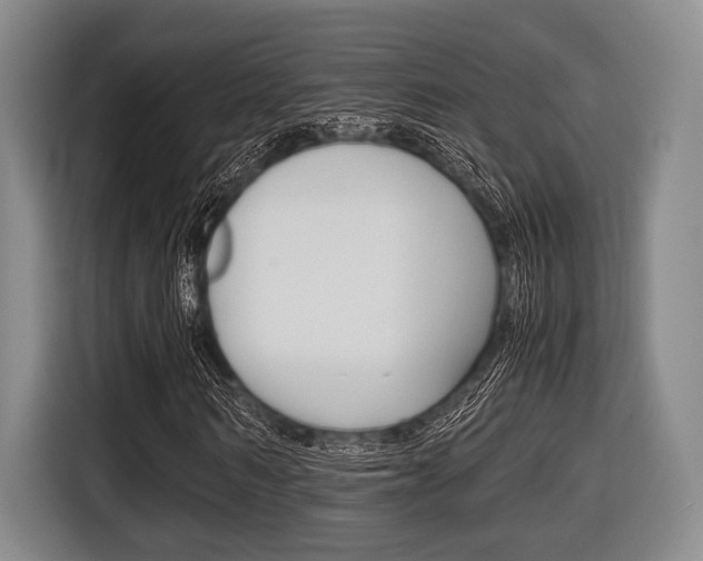 X0000116420962200912081156