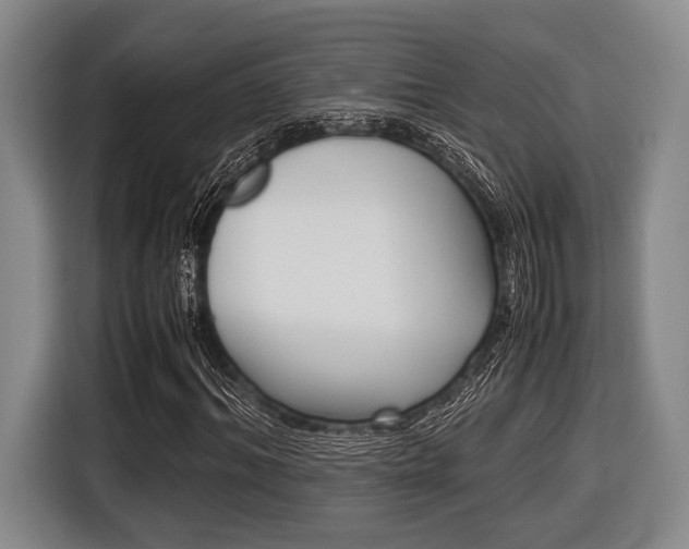 X0000116420964200912081156