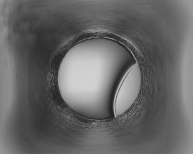 X0000116420967200912081156