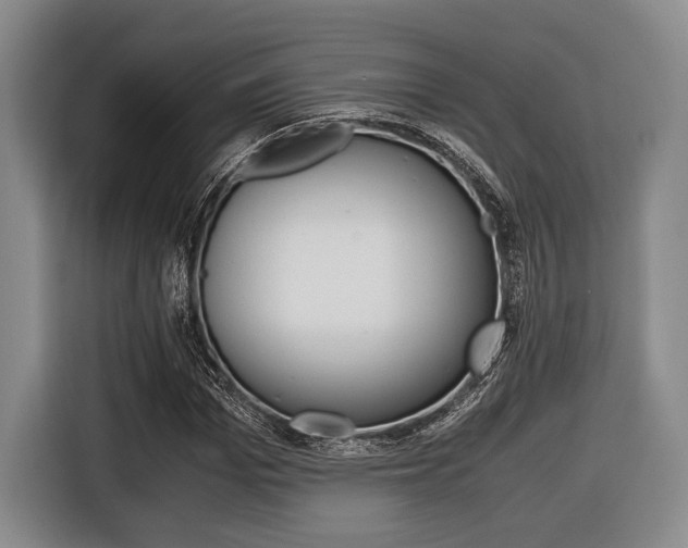 X0000116420969200912081156