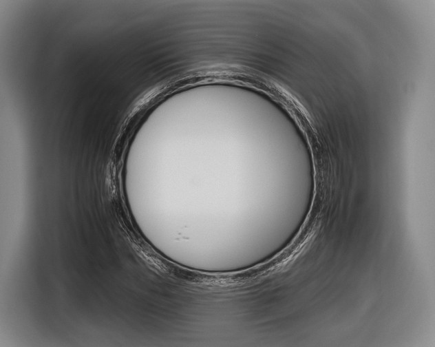 X0000116420970200912081156