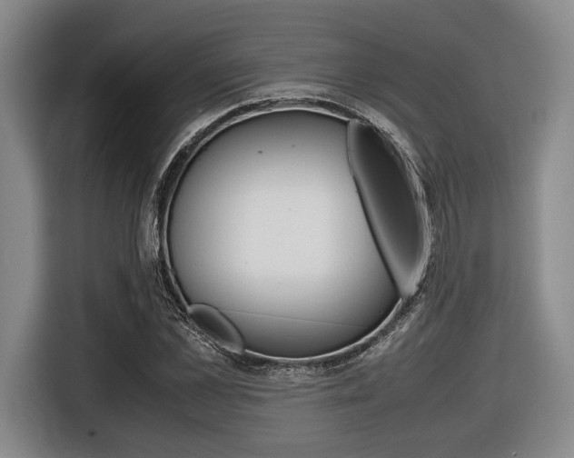 X0000116420973200912081156