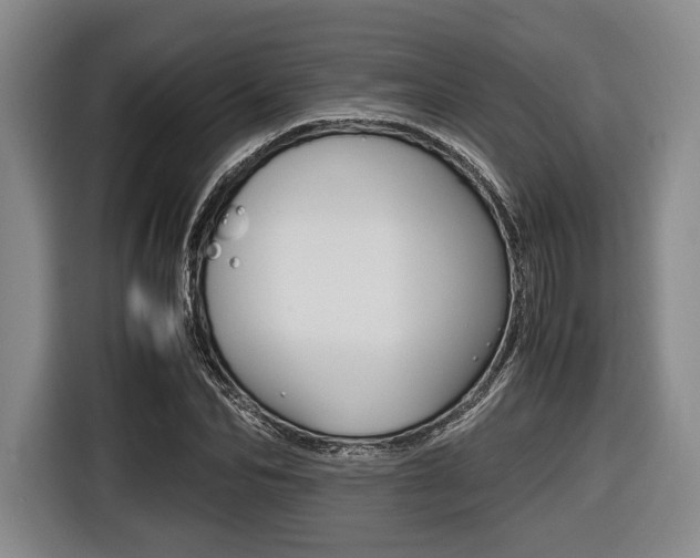 X0000116420974200912081156