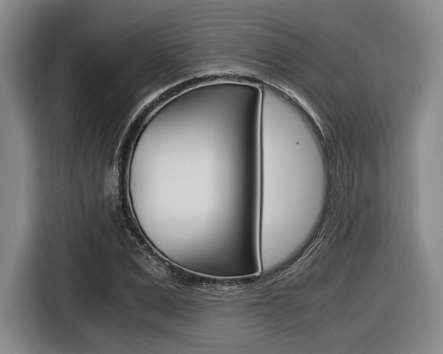 X0000116420975200912081156