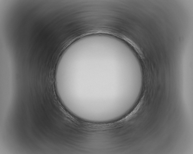 X0000116420977200912081156