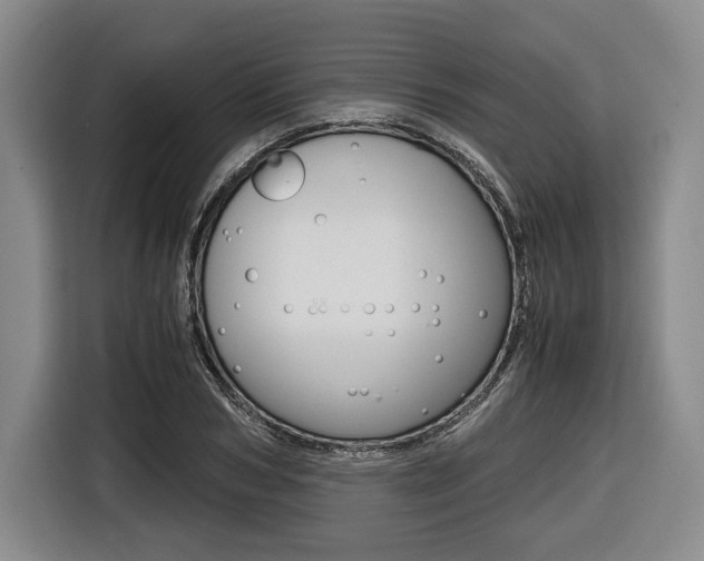 X0000116420978200912081156