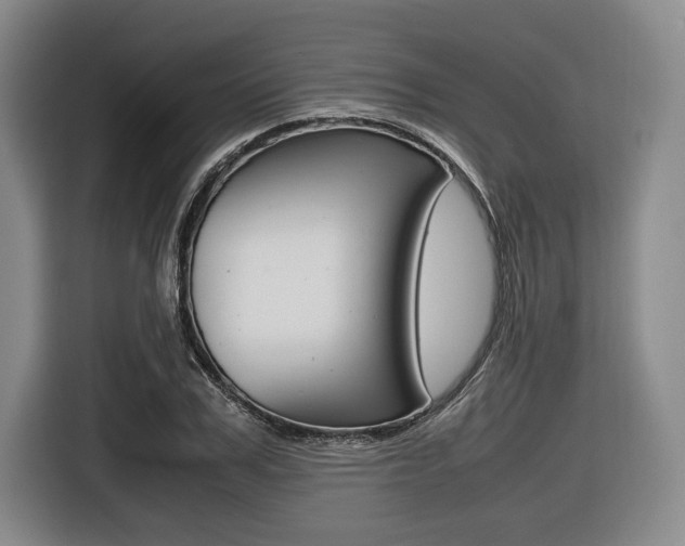 X0000116420979200912081156