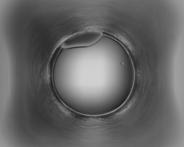 X0000116420981200912081156