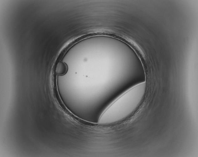X0000116420983200912081156