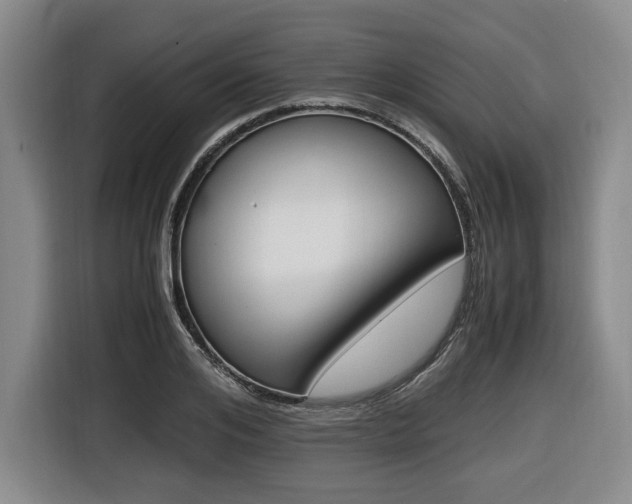 X0000116420984200912081156