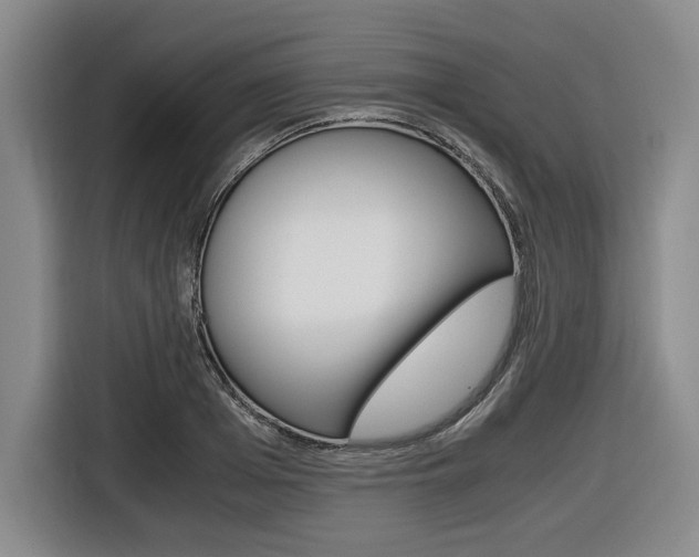 X0000116420985200912081156
