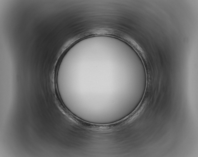 X0000116420986200912081156