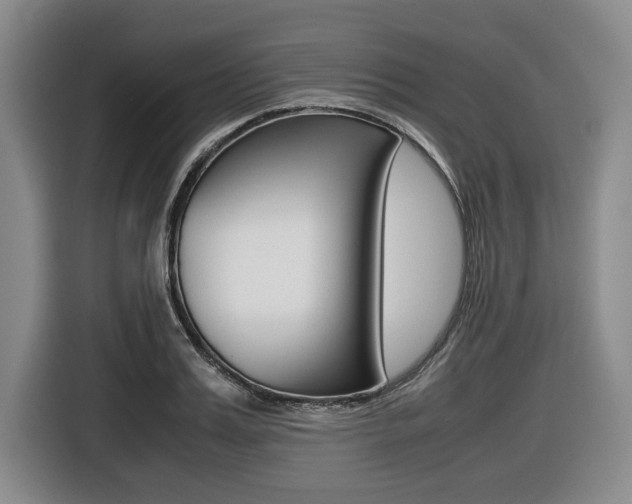 X0000116420987200912081156