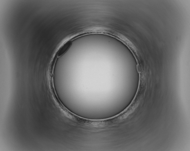 X0000116420989200912081156