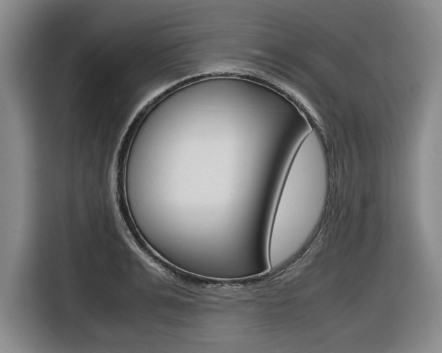 X0000116420991200912081156