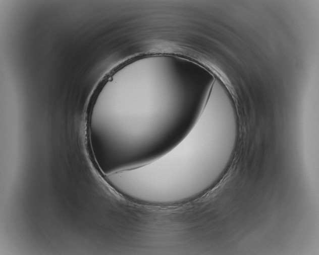 X0000116420992200912081156