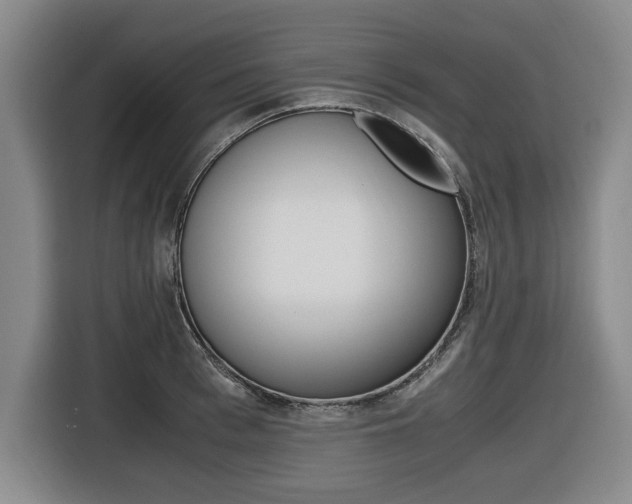 X0000116420993200912081156