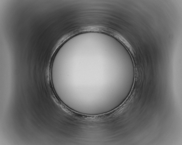 X0000116420994200912081156