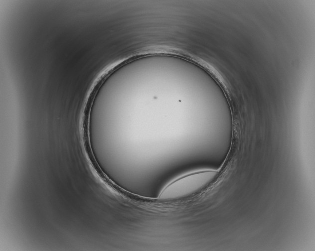 X0000116420995200912081156