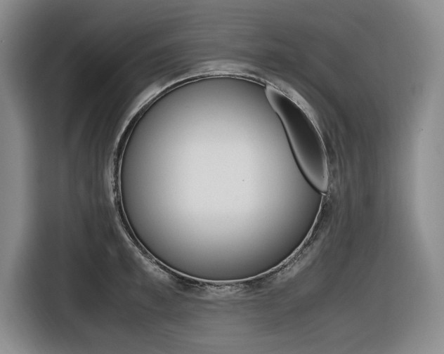 X0000116420997200912081156