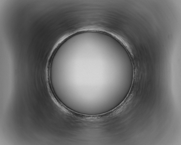 X0000116420998200912081156