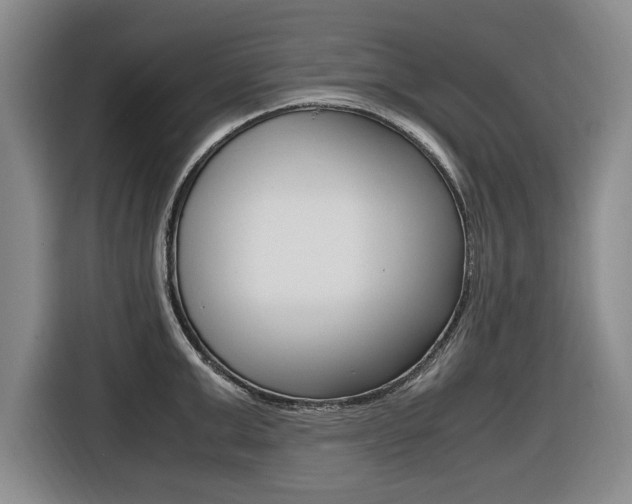 X0000116420999200912081156