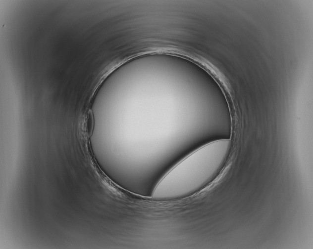 X0000116421001200912081156