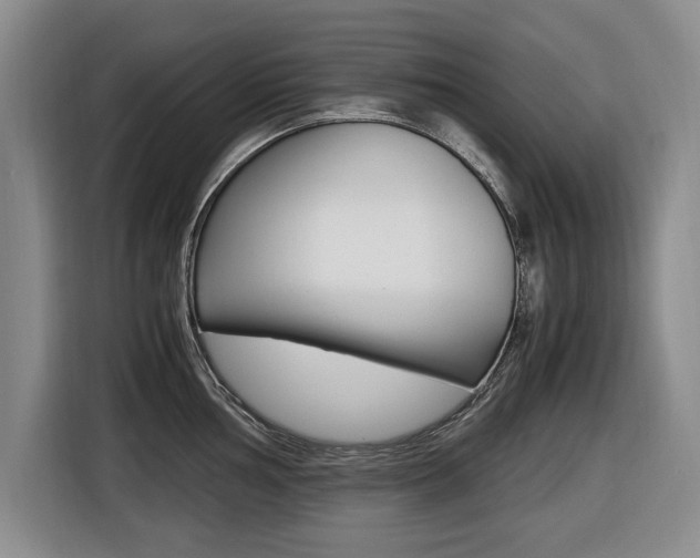 X0000116421002200912081156
