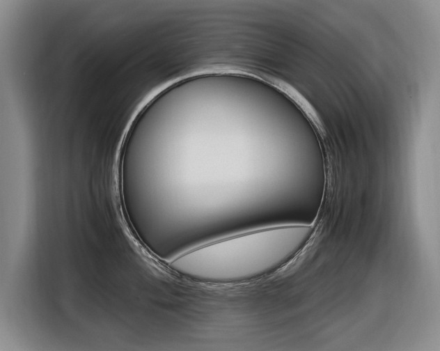 X0000116421004200912081156