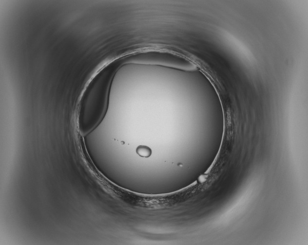 X0000116421005200912081156