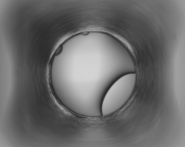 X0000116421006200912081156