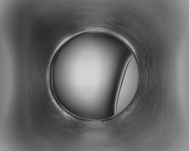 X0000116421007200912081156