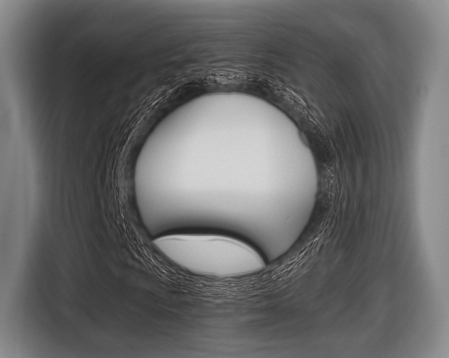 X0000116421009200912081155