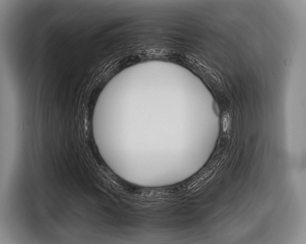 X0000116421011200912081155