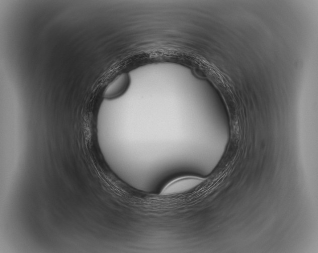 X0000116421012200912081155