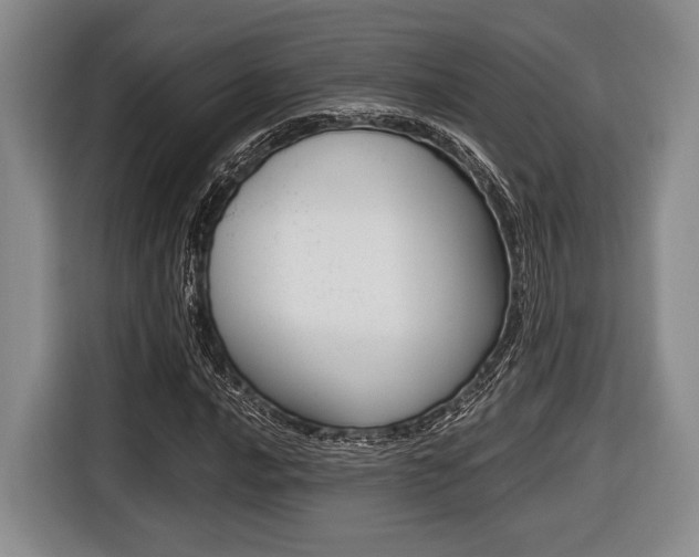 X0000116421016200912081155