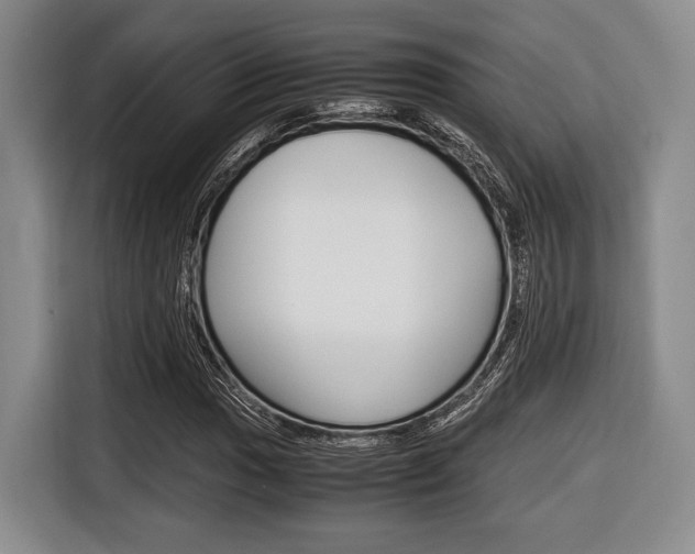 X0000116421017200912081155