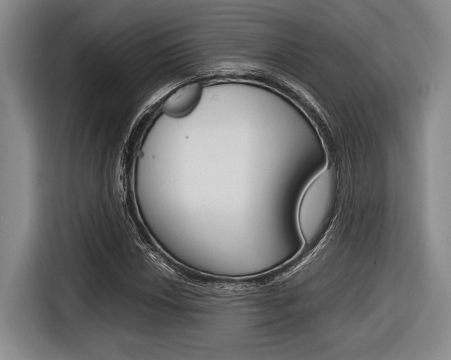 X0000116421018200912081155