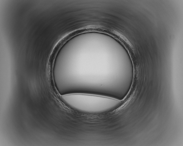 X0000116421021200912081155