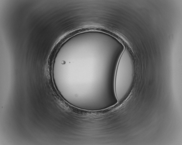 X0000116421022200912081155