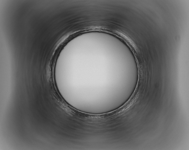 X0000116421023200912081155